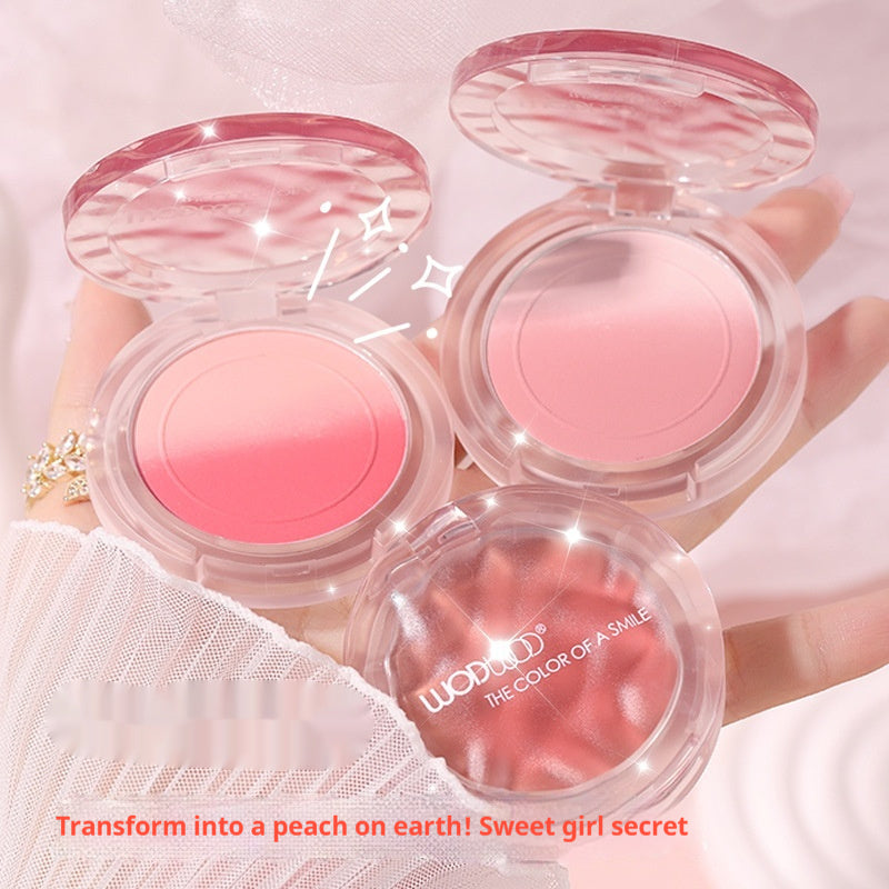 Gradient Blush Matte Brightening And Repairing Expansion Color