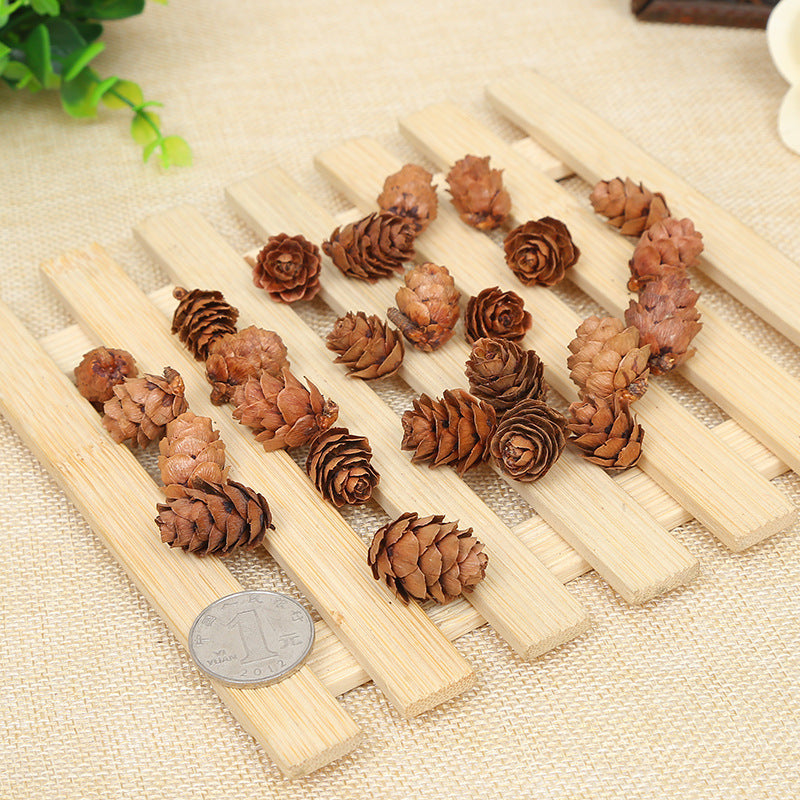 Creative Decoration Shooting Props Dried Flower Pine Cone