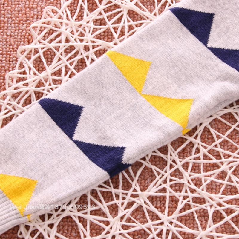 Boy's Explosion Of Wild Dinosaur Sweater