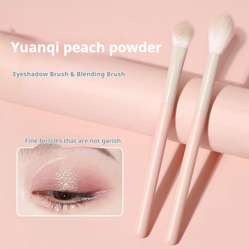 Slope Type Eyeshadow Brush