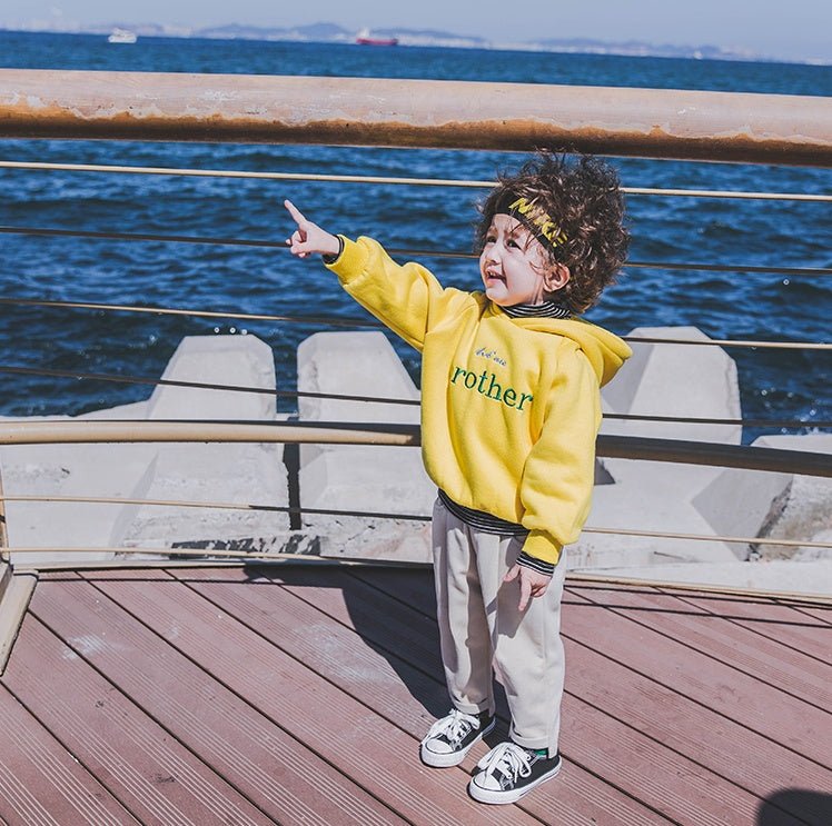 Boys plus velvet sweater 1 - 3 years old tide 2 thick baby autumn clothes male children's shirt male baby hooded children autumn and winter - Eshtree