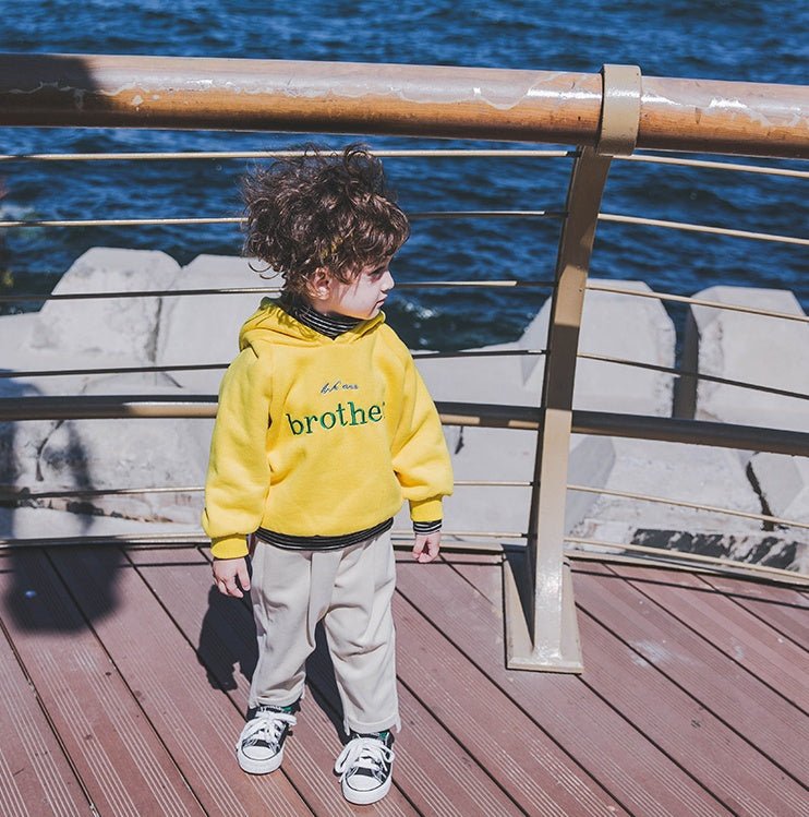 Boys plus velvet sweater 1 - 3 years old tide 2 thick baby autumn clothes male children's shirt male baby hooded children autumn and winter - Eshtree