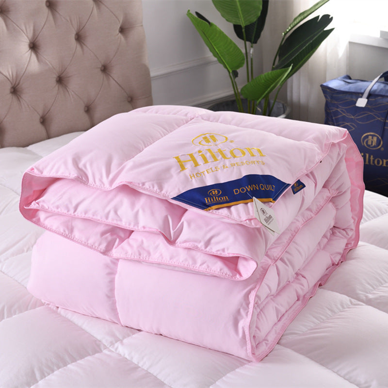 Downfull Spring And Autumn Winter Duvet Thickened