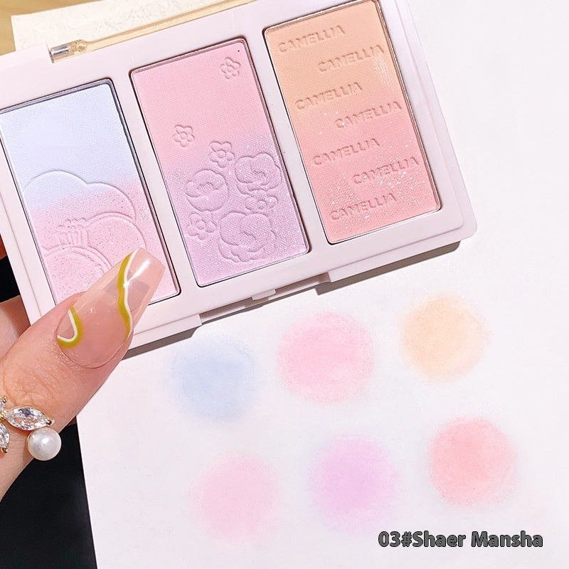 Three-color Shading Powder Plate In Tea