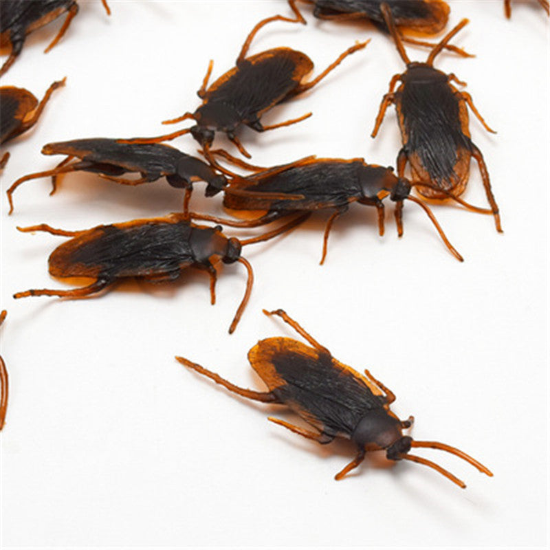 Simulated Cockroach April Fool's Day Toy