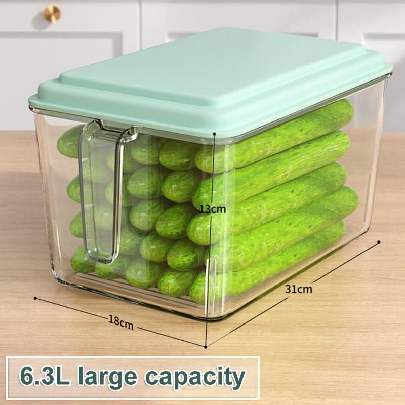 Kitchen Refrigerator Food And Vegetable Preservation Large Capacity Storage Box - Eshtree