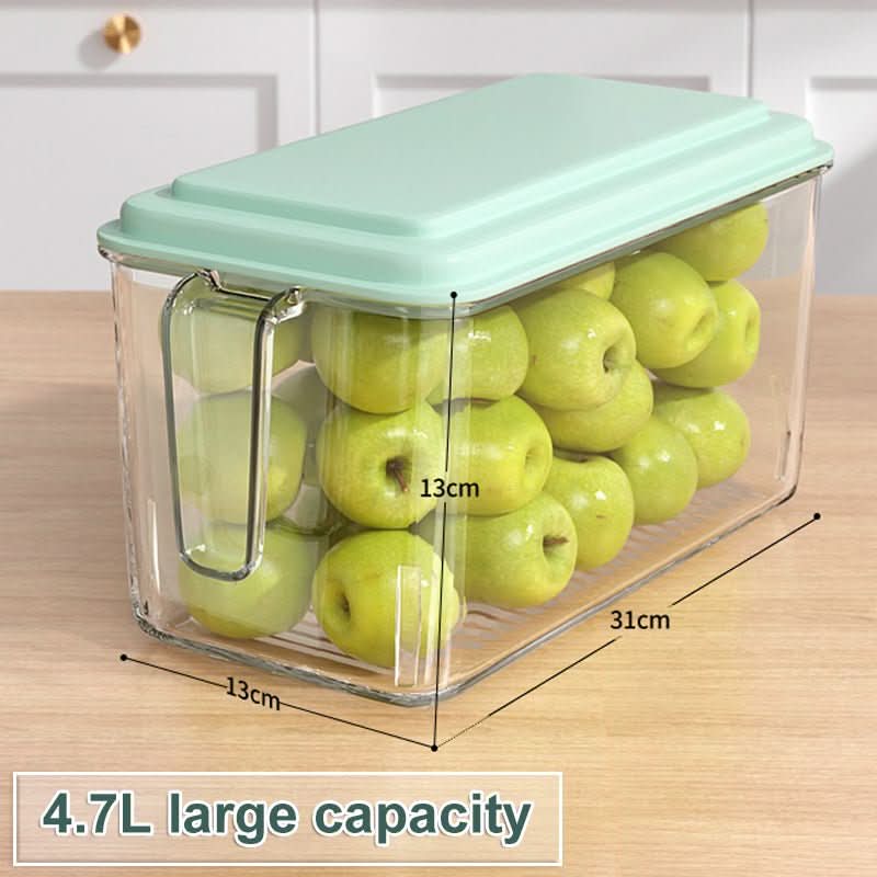 Kitchen Refrigerator Food And Vegetable Preservation Large Capacity Storage Box - Eshtree
