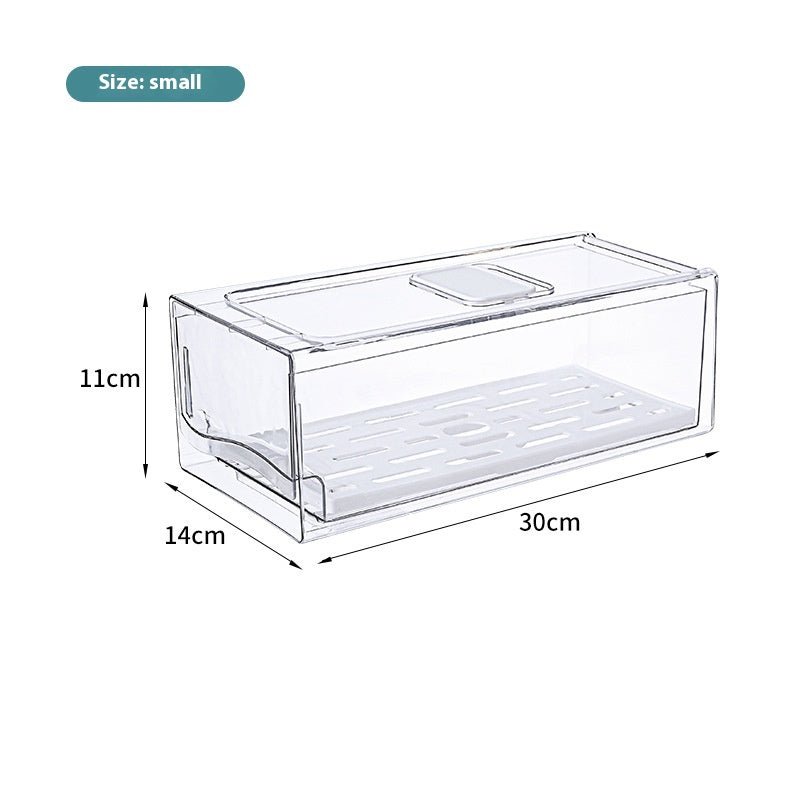 Kitchen Refrigerator Storage Box Drawer Crisper - Eshtree
