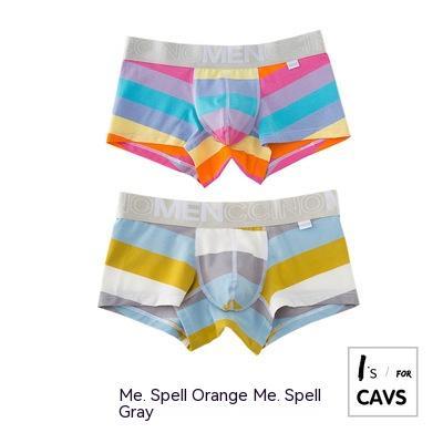 Men's Striped Print Boxer Briefs - Eshtree