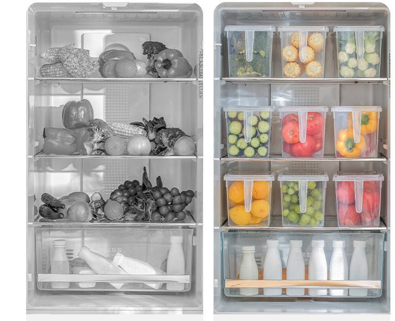 Refrigerator Hand - Held Multigrain Storage Box With Handle - Eshtree