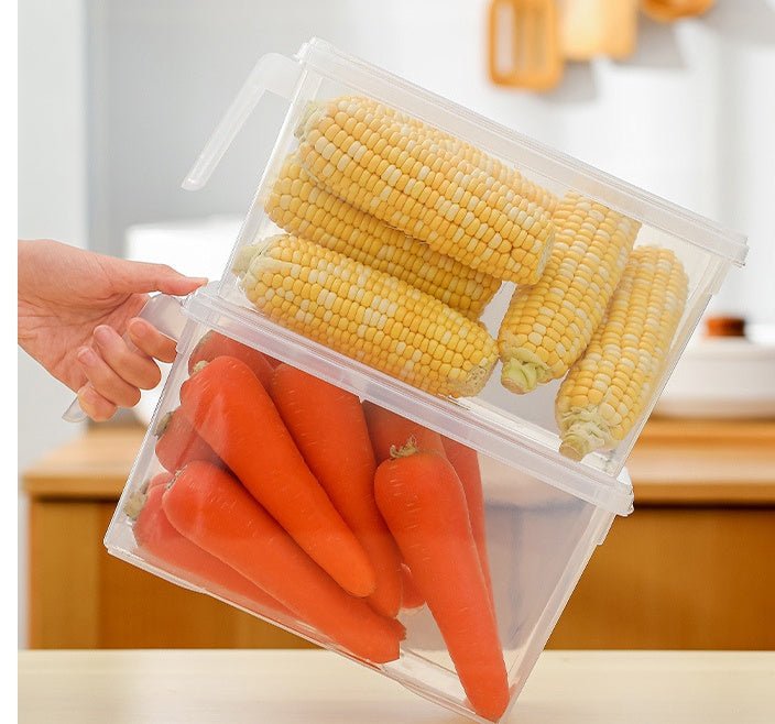 Refrigerator Hand - Held Multigrain Storage Box With Handle - Eshtree