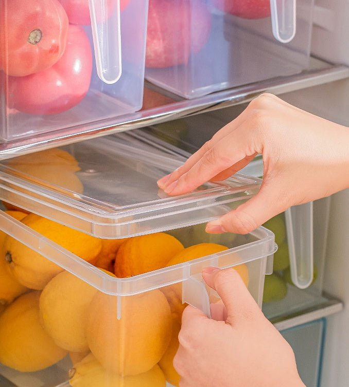 Refrigerator Hand - Held Multigrain Storage Box With Handle - Eshtree