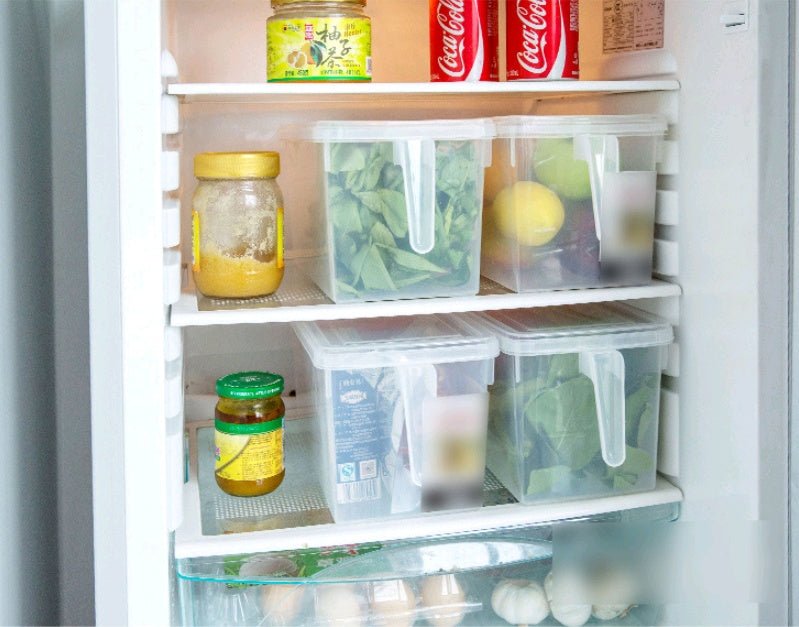 Transparent non - toxic refrigerator storage box Creative kitchen finishing box with handle Japanese food sealed crisper - Eshtree