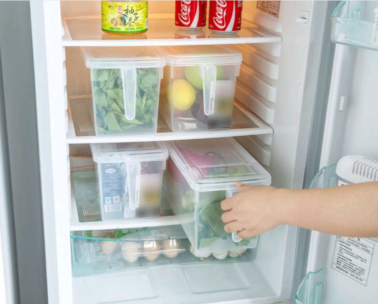 Transparent non - toxic refrigerator storage box Creative kitchen finishing box with handle Japanese food sealed crisper - Eshtree