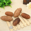 Creative Decoration Shooting Props Dried Flower Pine Cone