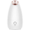 Face Steamer Beauty Instrument Steam Face Sprayer