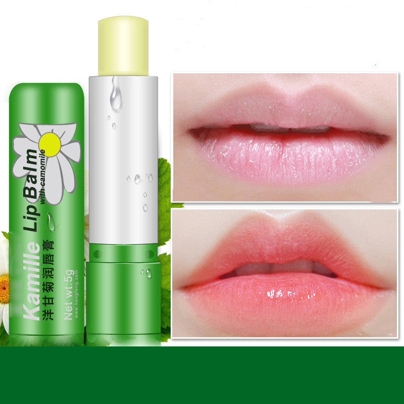 Natural Moisturizing Repair Lip Balm