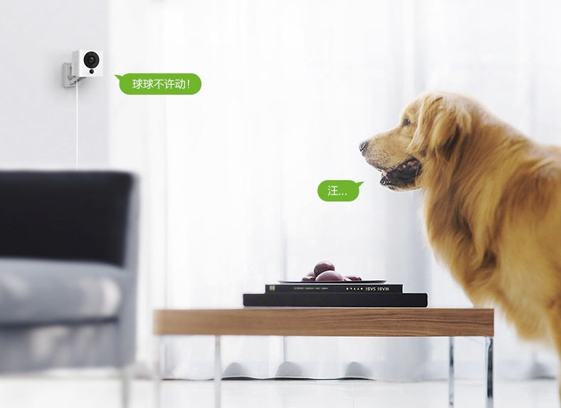 كاميرا رؤية ليلية لمراقبة شبكة الواي فاي المنزلية المتنقلة 