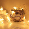 LED Optical Fiber Flower Light String Flashing Light Wedding