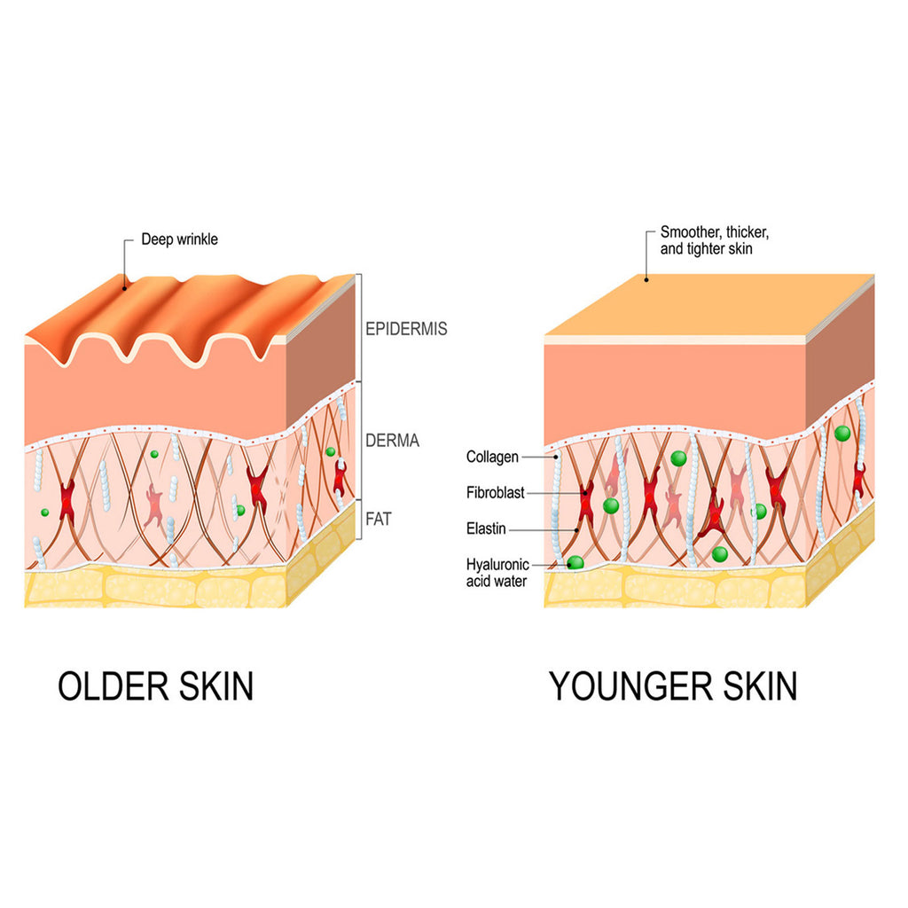 Intensive Anti-wrinkle Fade Fine Lines And Dark Circles Adjust Skin Tone Tighten And Moisturize Skin Care