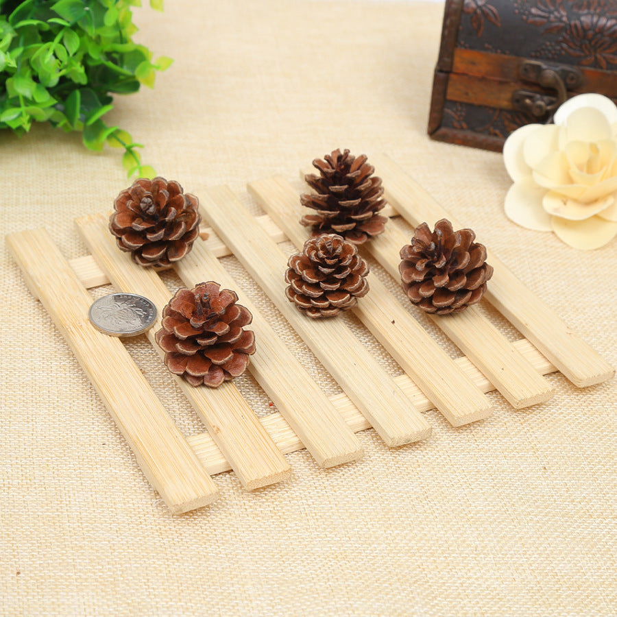 Creative Decoration Shooting Props Dried Flower Pine Cone