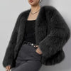 Artificial Fur Coat Short Fashion Women's Wear