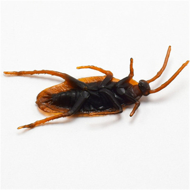 Simulated Cockroach April Fool's Day Toy