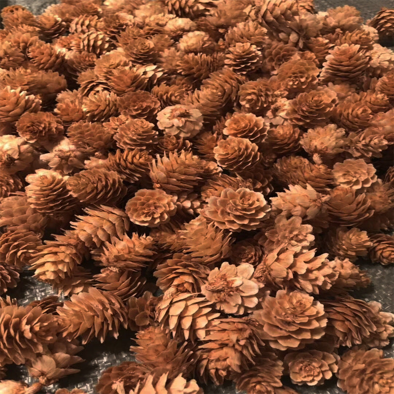 Creative Decoration Shooting Props Dried Flower Pine Cone