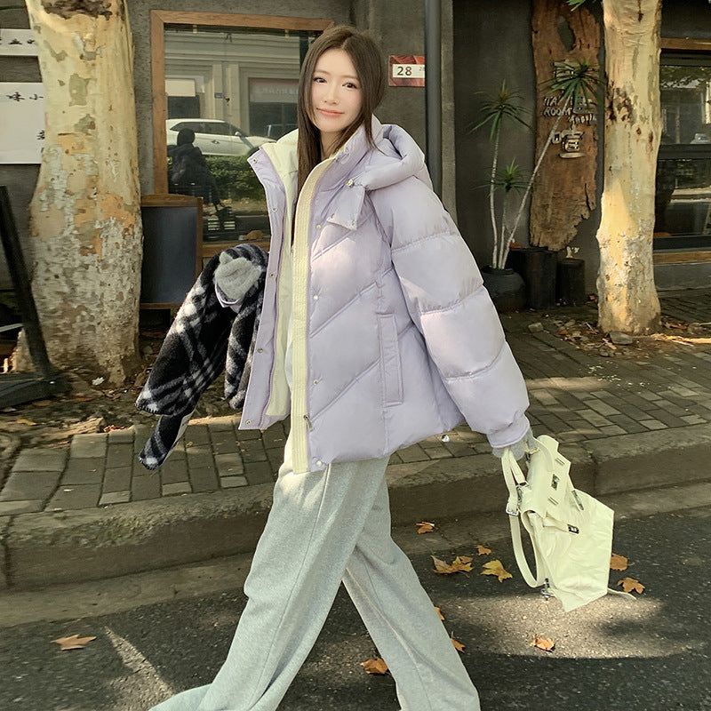 جاكيت قطني قصير للنساء، دافئ، مزود بغطاء رأس، مقاوم للرياح، مبطن بالقطن