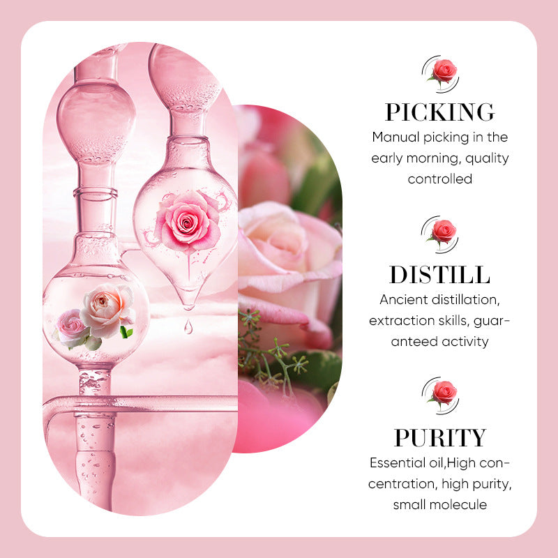Rose Essential Oil Moisturizes The Body With Whitening Skin Colors