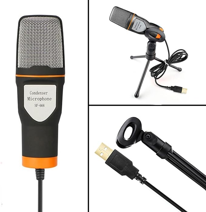 Recording Mic With Tripod Stand