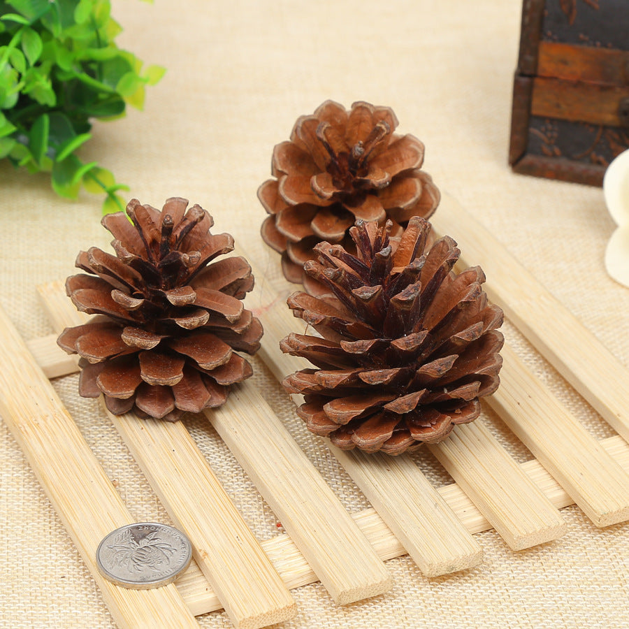 Creative Decoration Shooting Props Dried Flower Pine Cone