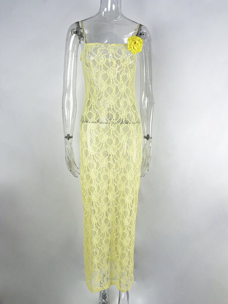 Sling Lace See-through Slim-fit Sheath Dress