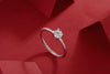 The Bond - Set With Top-quality Moissanite S925 Silver And Platinum-plated Diamond Wedding Ring Can Be Inspected With A Diamond Pen