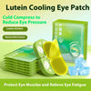 Lutein Cold Eye Pad Sleep Ice Compress Shading Relieve Eye Fatigue