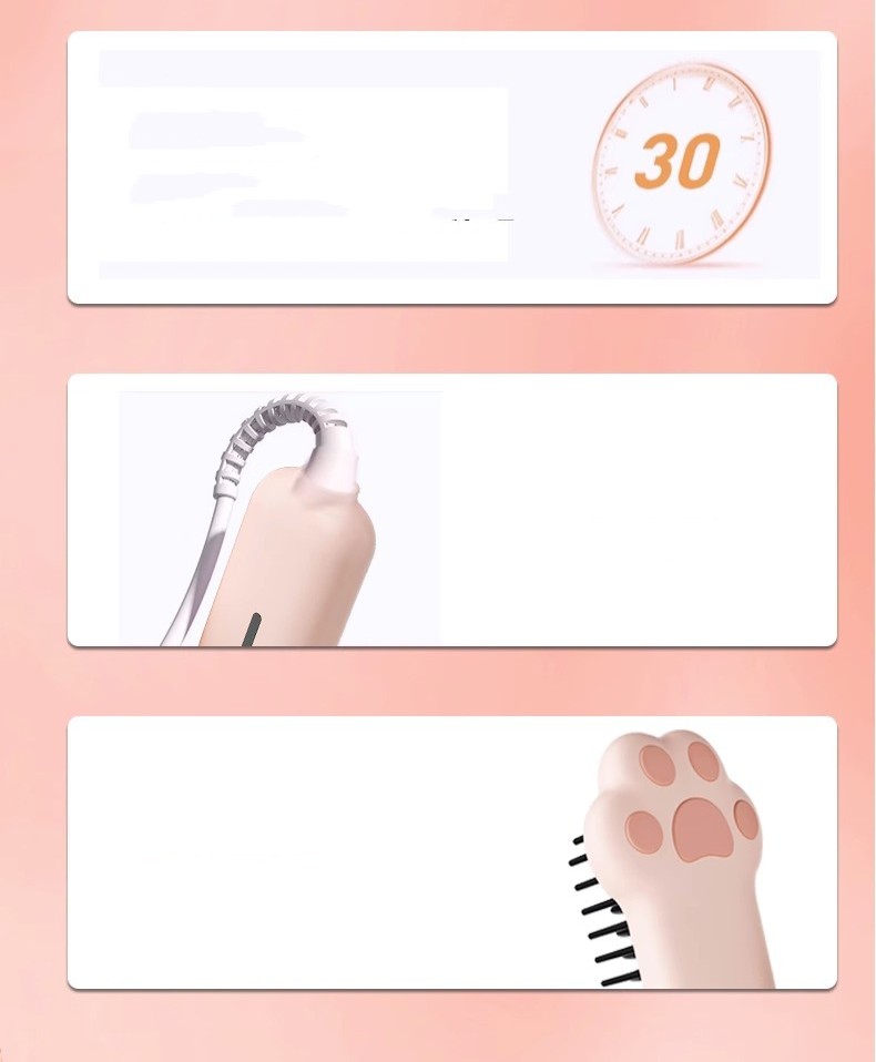 Portable Wet And Dry Hair Straightener