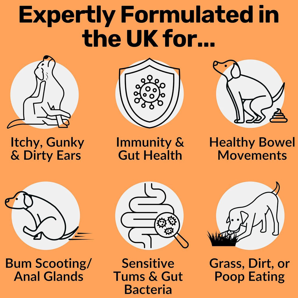 وجبات خفيفة لتحسين الهضم للكلاب، تحتوي على البريبايوتكس، منتجات العناية بصحة الأمعاء للحيوانات الأليفة