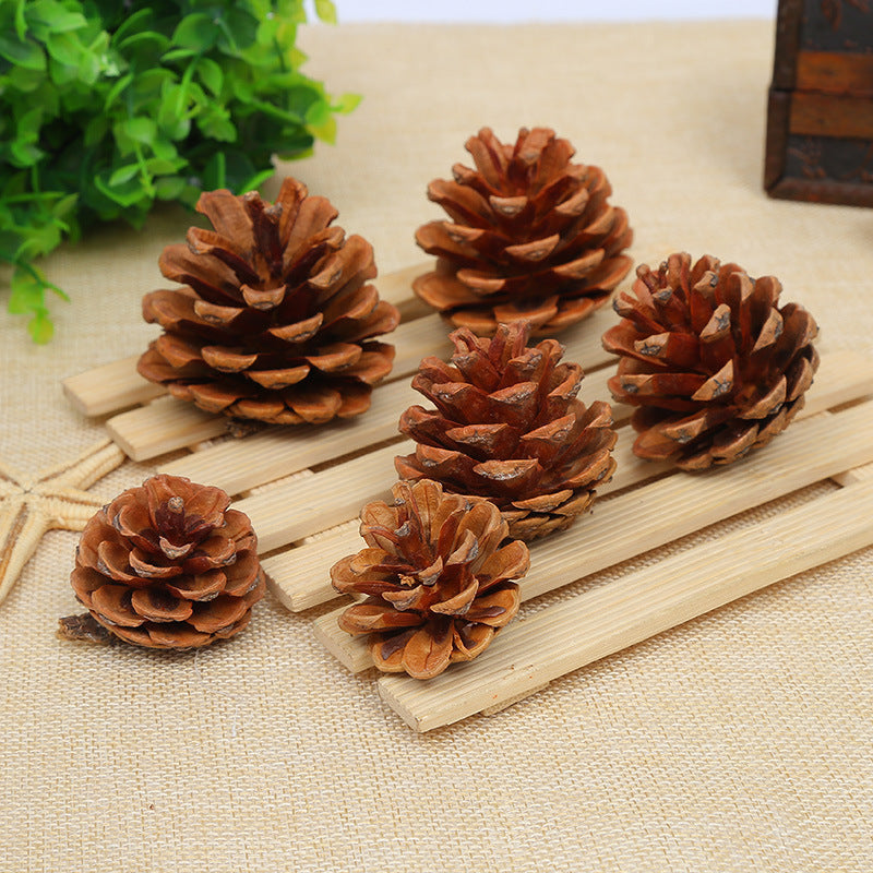 Creative Decoration Shooting Props Dried Flower Pine Cone