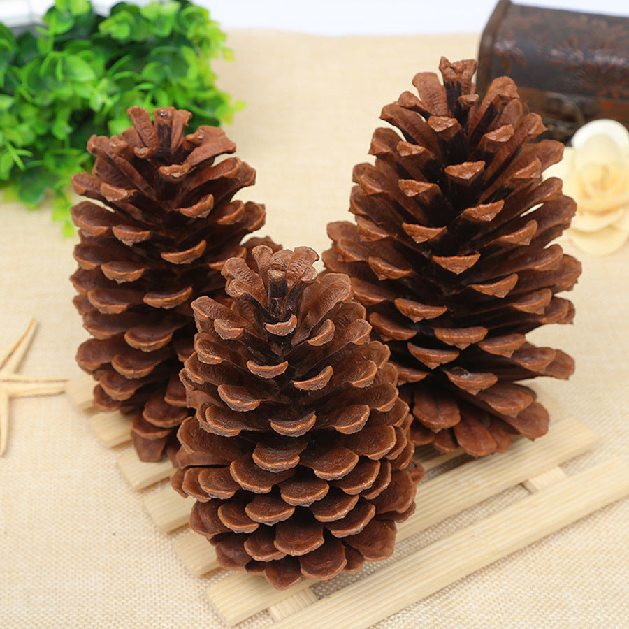 Creative Decoration Shooting Props Dried Flower Pine Cone