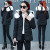 Women's Short Detachable Large Fur Collar Cotton Coat