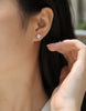 Unrestrained - Top-quality Moissanite S925 Silver And Platinum-plated Stud Earrings, A Fashionable And Trendy Accessory That Can Be Tested With A Diamond Pen In Gold Rose Gold