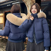 Hooded Large Fur Collar Cotton Short Padded Jacket