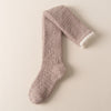 Coral Fleece Knee Socks Women's Autumn And Winter Warm Long Fleece-lined