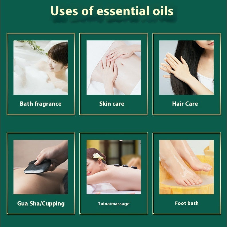 Massage Essential Oil Whole Body Use Meridian Scraping Massage