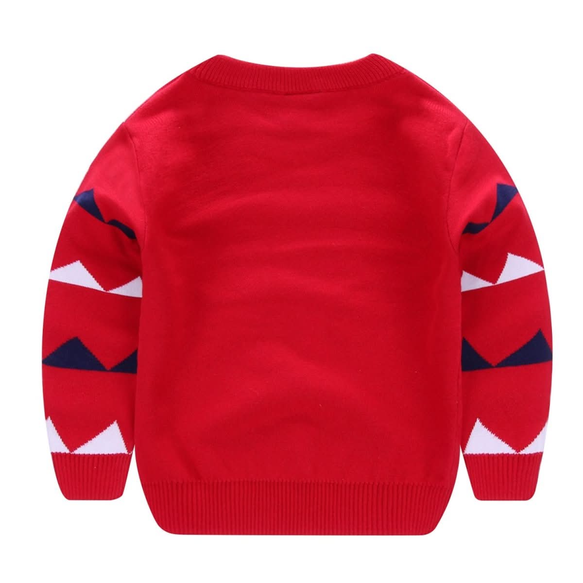 Boy's Explosion Of Wild Dinosaur Sweater - Eshtree