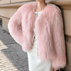 Artificial Fur Coat Short Fashion Women's Wear