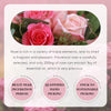 Rose Essential Oil Moisturizes The Body With Whitening Skin Colors