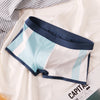 New Men's Summer Cotton Loose Underwear