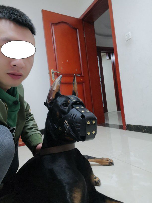 Cowhide Dog Muzzle Medium And Large Dog Horse Dog - Eshtree