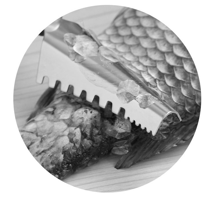 Stainless Steel Scaler For Household Use